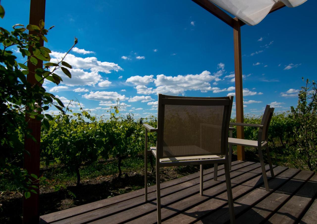 Pizzorno Lodge & Wine Progreso Exterior foto